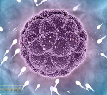 آزمایش اسپرم