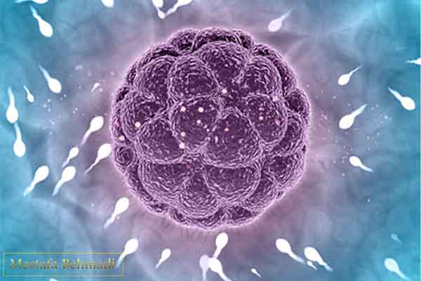 آزمایش اسپرم