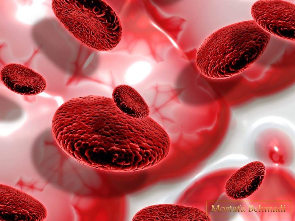 علائم اختصاری آزمایش خون ازمایش خون