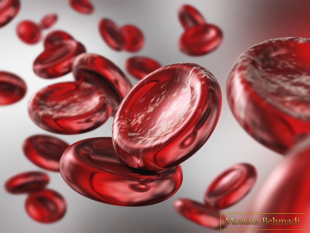 تفسیر جواب آزمایش چکاپ کامل و آنلاین