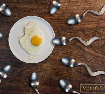 چگونه جواب آزمایش اسپرم را بخوانیم؟