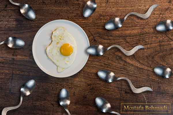 چگونه جواب آزمایش اسپرم را بخوانیم؟