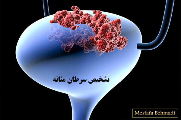 آزمایشگاه تشخیص طبی دانش مشهد