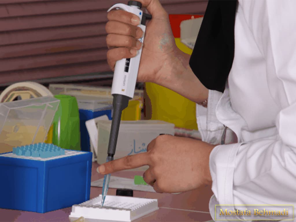 آزمایشگاه سروش مشهد ازمایشگاه سروش در مشهد