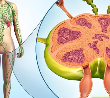 لنفوم و همه چیز در مورد آن