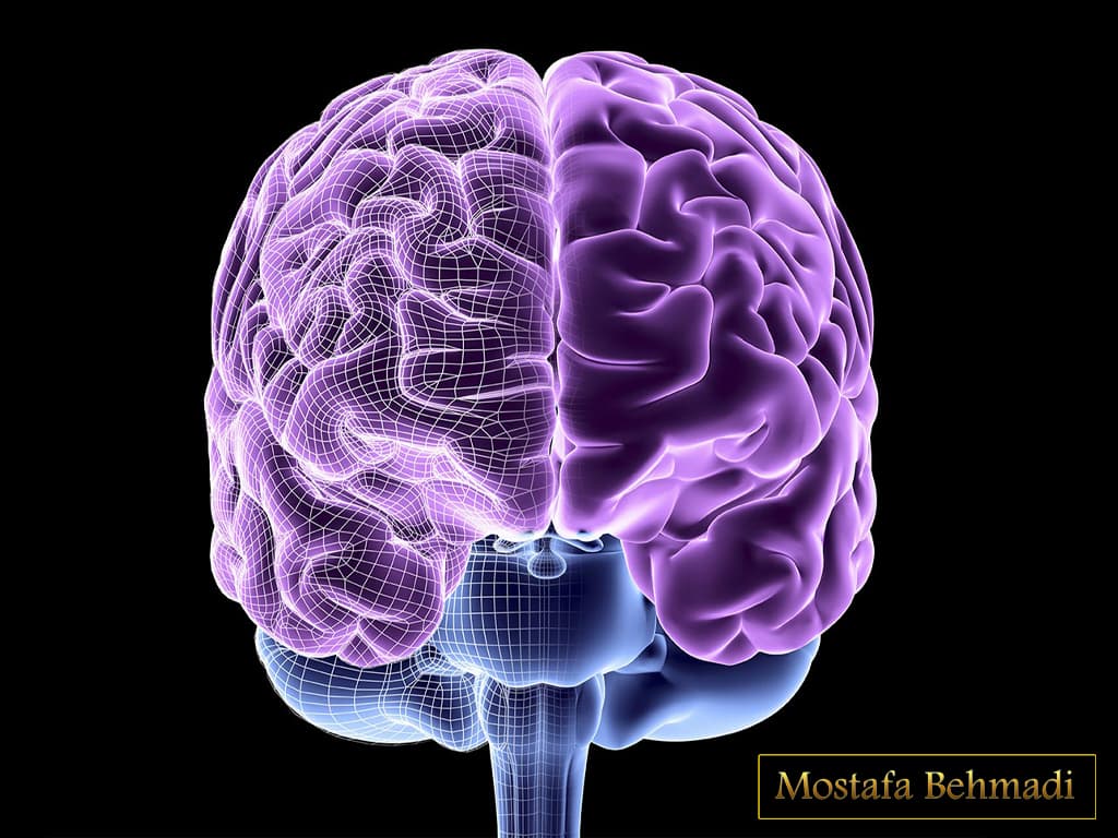 تومور مغزی ، همه چیز در مورد آن تومور مغز