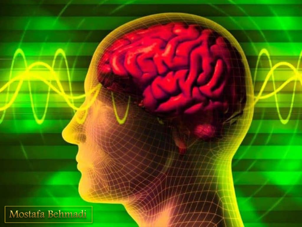 علل بوجود امدن تومور مغزی علل بوجود امدن تومور مغزی