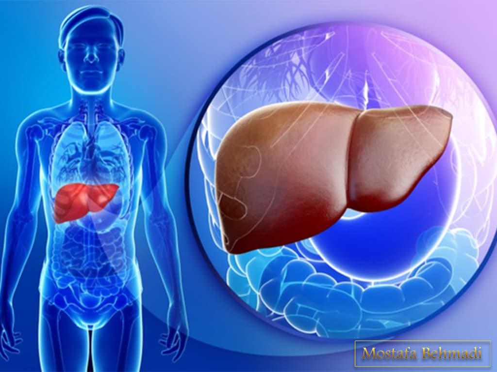 تشخیص سرطان کبد درمان کبد