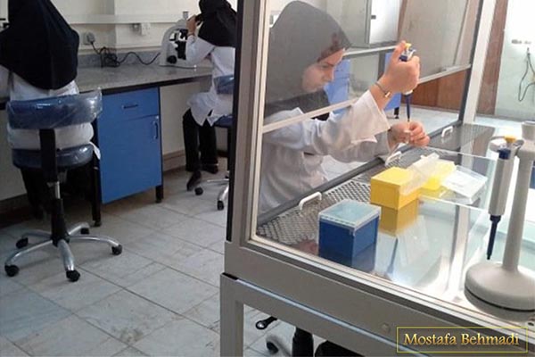 آزمایشگاه دکتر سزاوار مشهد