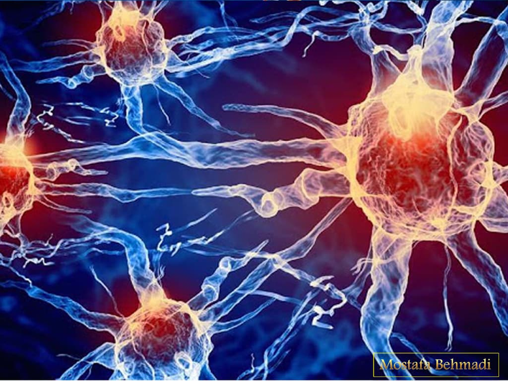 آیا سرطان درمان دارد؟! درمان قطعی سرطان