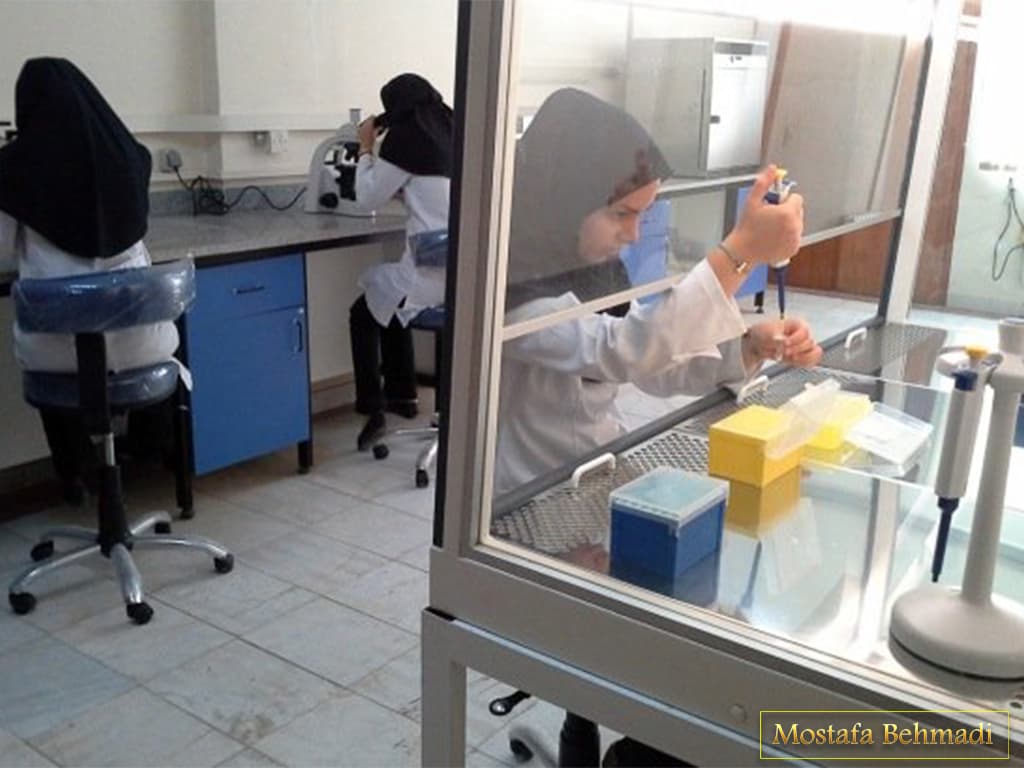 آزمایشگاه دکتر سزاوار مشهد آزمایشگاه دکتر سزاوار مشهد