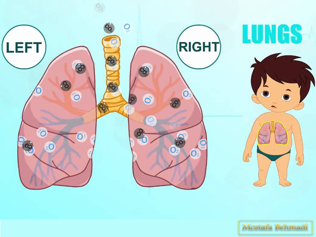 علائم سرطان ریه درمان سرطان ریه