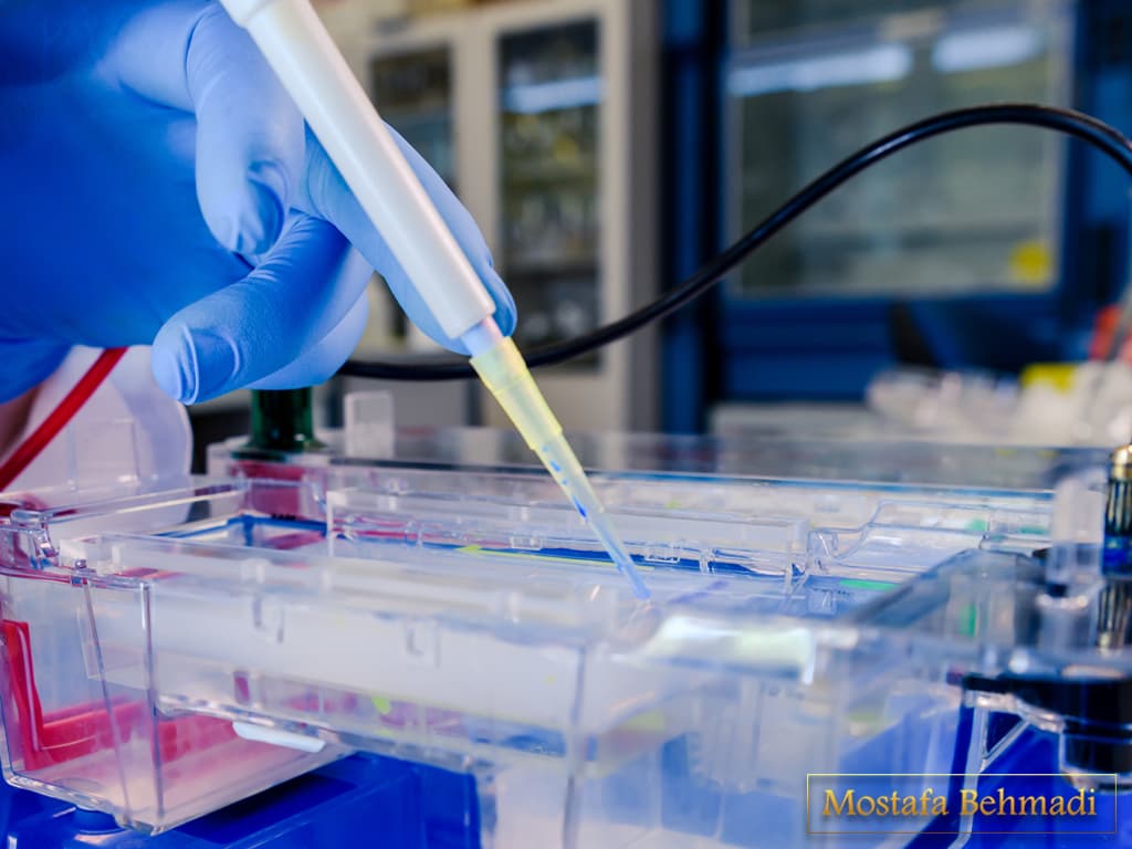 هورمون شناسی هورمون شناسی